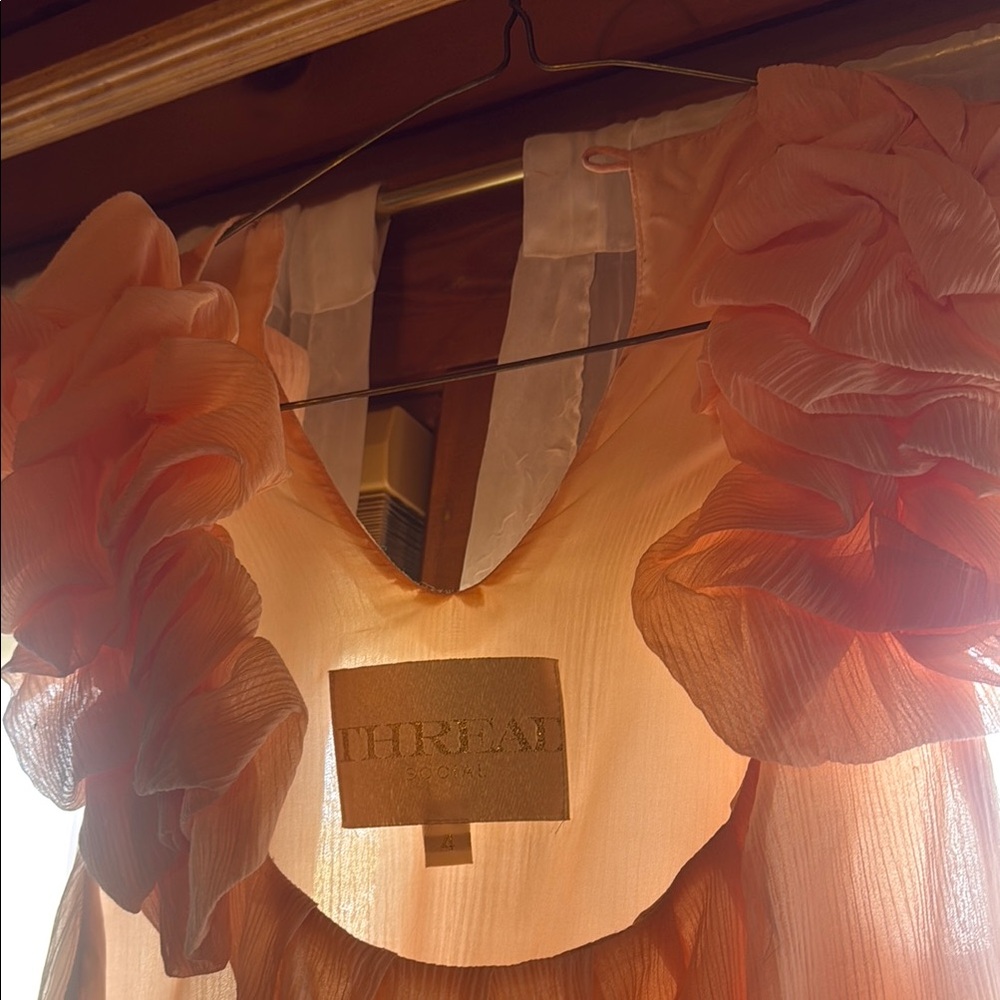 Thread Social Peach Ruffle Mini Dress - Picture 3 of 5